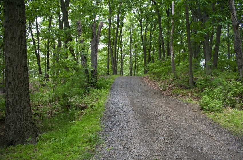 Image of a trail Cheesequake state park hiking