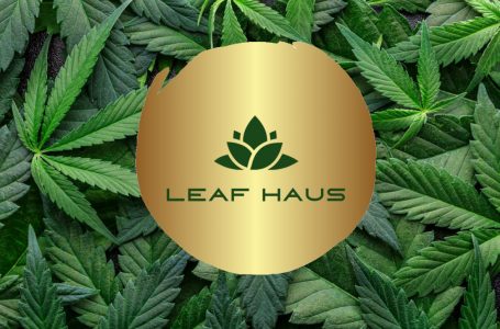 LeafHaus Blazes a Trail: Bringing Quality Cannabis to Central New Jersey!