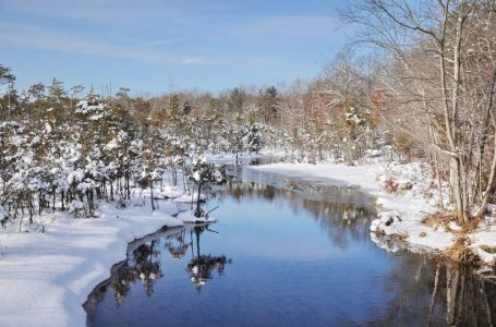Creative Things to Do in NJ Winter of 2023/2024