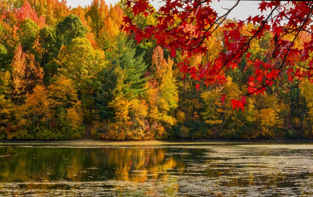 Image of beautiful fall foliage at Dallabach Lake in East Brunswick NJ