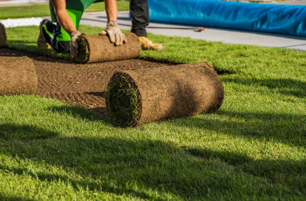 Image of sod getting intalled on a lot in NJ