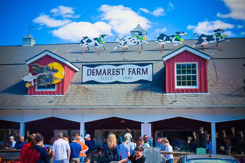 People visiting Demarest Farm in New Jersey