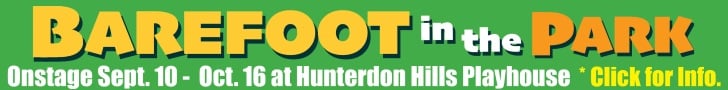 Hunterdon Hills Playhouse Arts and Culture in NJ