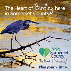 Somerset County Tourism Bird Watching in NJ