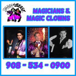 Beauty & the Beast Birthday Party Magician NJ