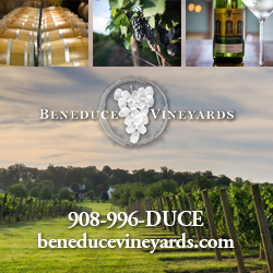 Beneduce Vineyards Top Attractions Hunterdon County NJ