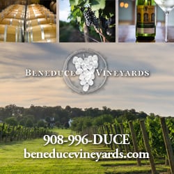 Beneduce Vineyards Top Attractions Hunterdon County NJ