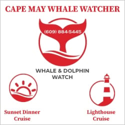 Cape May Whale Watcher Top Attractions in NJ