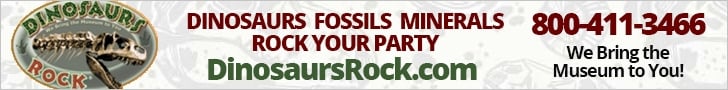 Dinosaurs Rock Animal Discovery Parties in NJ