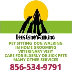 Dogs Gone Walking Dog Parks in NJ