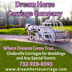 Dream Horse Carriage Horse & Carriage Services in NJ