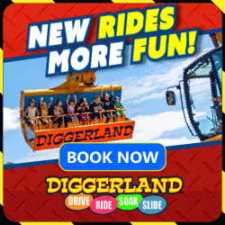 Diggerland - Arcade Parties Side Bar