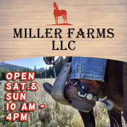 Miller Farms Horseback Riding New Jersey
