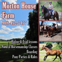Mortonhouse Farm Horseback Riding in NJ