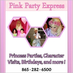 Pink Party Express Princess Parties in NJ