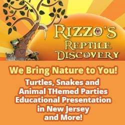 Rizzo's Wildlife Animal Discovery Parties in New Jersey