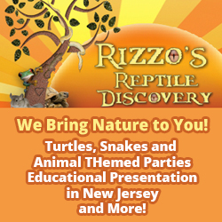 Rizzo's Wildlife Discovery Gymnastics Parties NJ