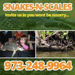 Snakes n Scales Fun with Kids  Attractions in NJ