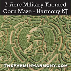Warren County Farmers Fair Fun with Kids NJ