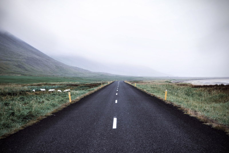 Image of an empty road depicting a fiels trip