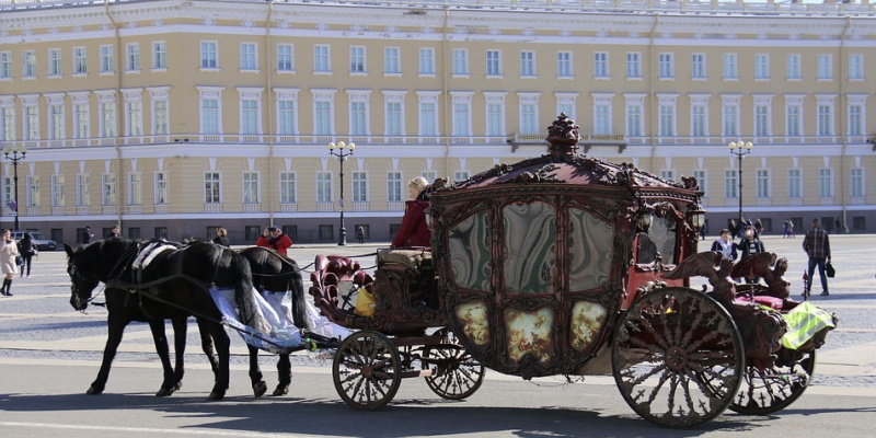 Photo of a horse drawn carriage being used by a monarch to show the history and other uses for horse and buggys