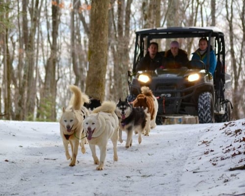 Pocono Manor Resort and Spa Dog Sledding PA