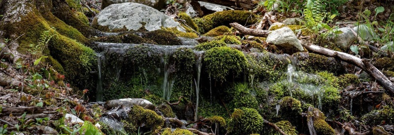 Photo of a little waterfall among mossy rocks and fallen branches