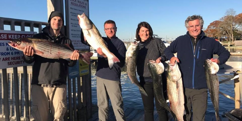 Image four people holding up large sea bass on a dock in Point Pleasant, NJ.