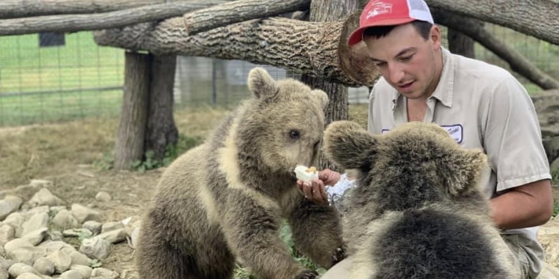 Image of a zookeeper feeding two baby bears at Space Farms Zoo and Museum one of the coolest places for kids to have fun in NJ