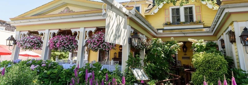 Photo of the front of The Gables a yellow house with a oak tree in front with lavender growing.