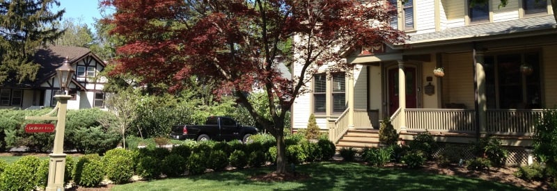 Photo the Debary inn with a Japanese maple growing the the front yard