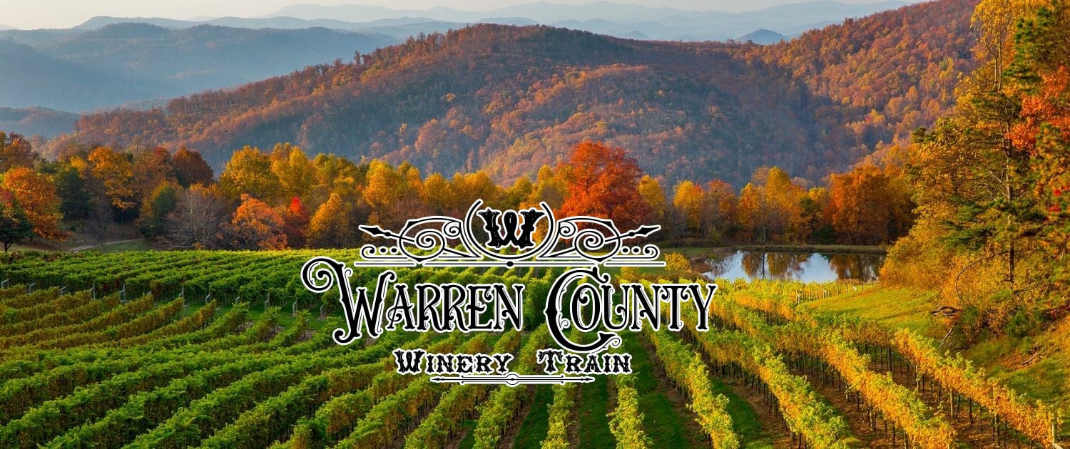 The Delaware River Railroad Excursions