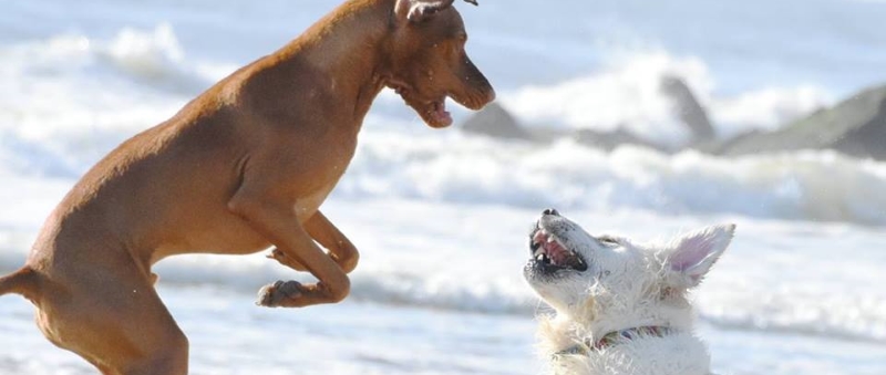 Asbury Park 8th Avenue Beach