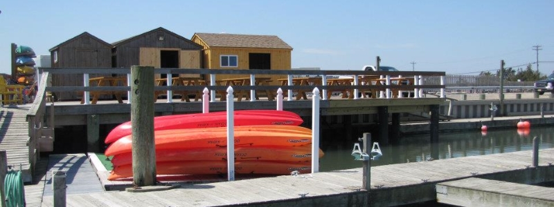 Wetlands Wildlife Safari