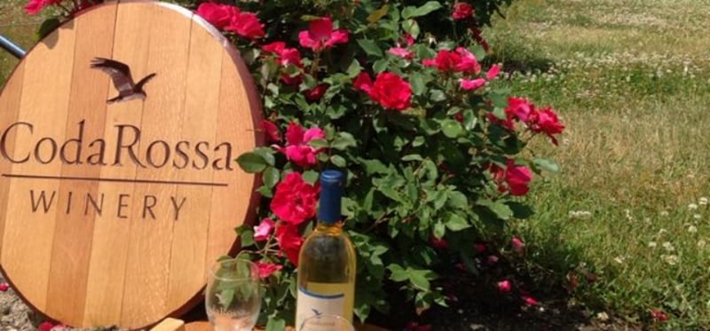 Coda Rossa Winery
