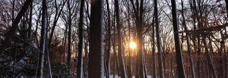 Cora Hartshorn Arboretum and Bird Sanctuary