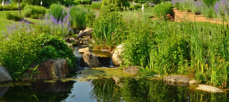 Biosphere Pool Complex