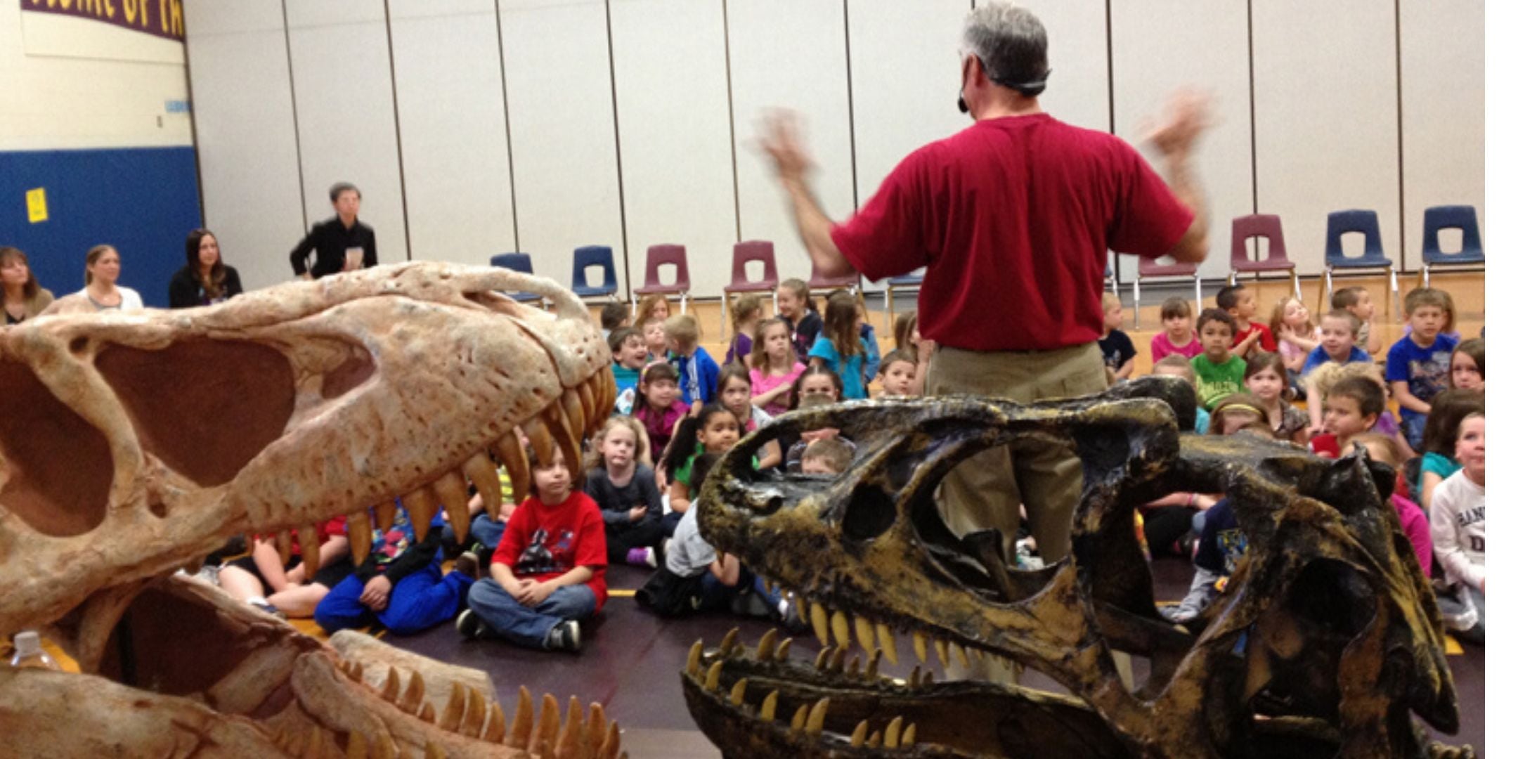 Dinosaurs Rock - Fossil & Mineral Events and Cool Products