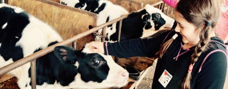 Fulper Family Farmstead