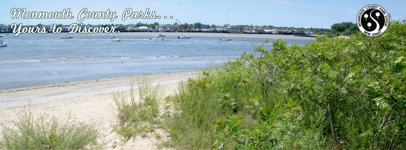 Fisherman's Cove Conservation Area