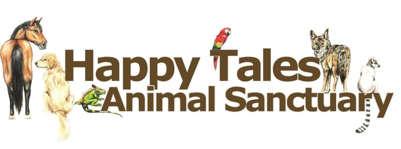 Happy Tales Animal Sanctuary
