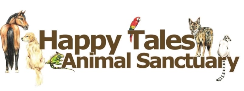 Happy Tales Animal Sanctuary