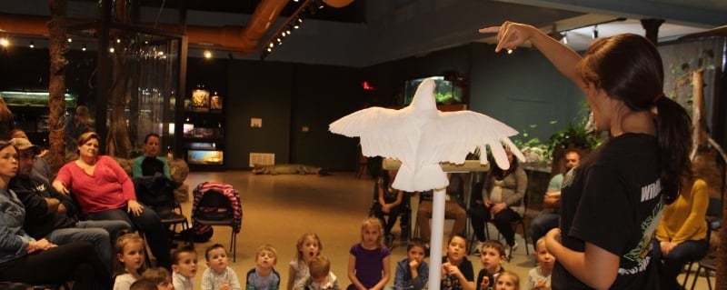 Rizzo's Wildlife World