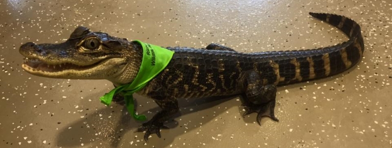 Rizzo's Wildlife World