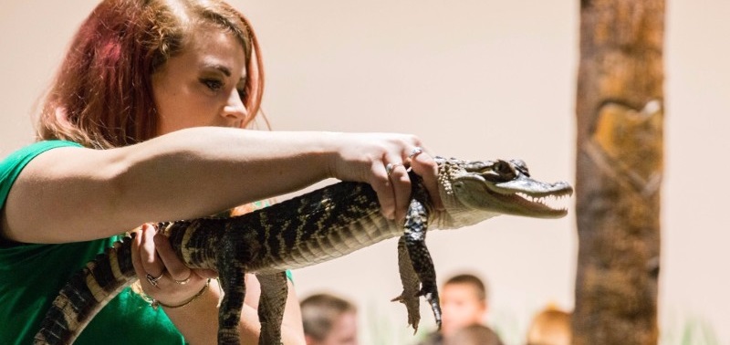 Rizzo's Wildlife Discovery