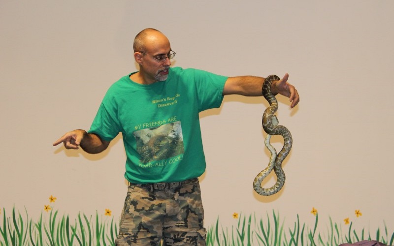 Snakes and other reptiles - only at Morris County's only aquarium, Rizzo's Wildlife!