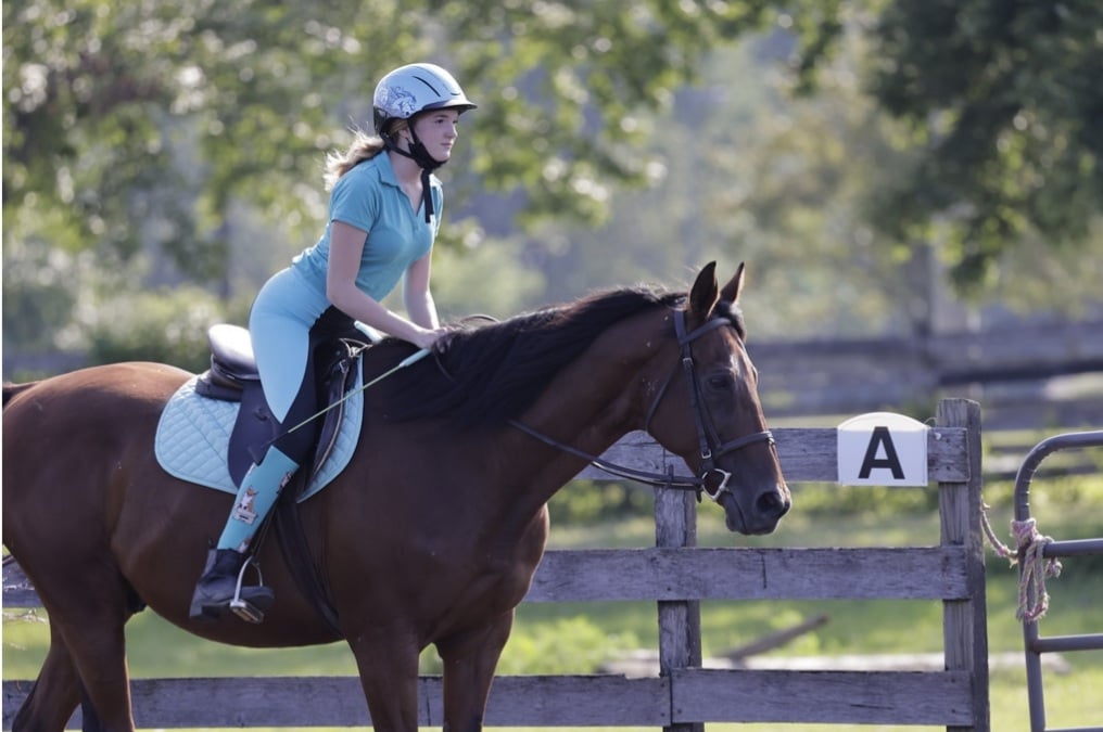 Seaton Hackney Stables