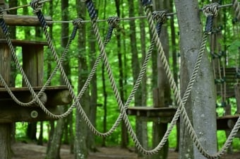 Image of a ropes course high in the trees as part of an adventure park in NJ