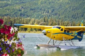 Image of an airplane on the water surrounded by trees showing an airplane tour as one of the best tours in NJ