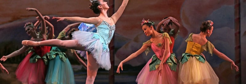 American Repertory Ballet